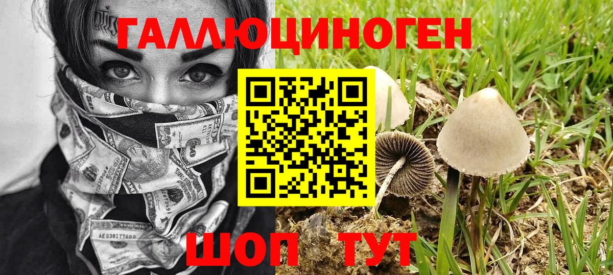 Псилоцибиновые грибы мицелий Владивосток